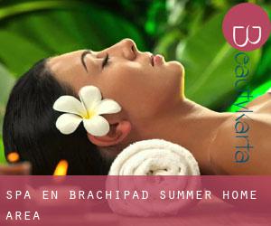 Spa en Brachipad Summer Home Area