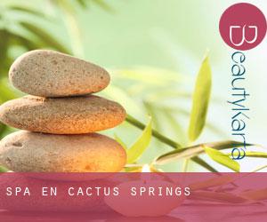 Spa en Cactus Springs