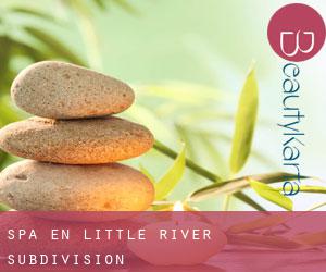 Spa en Little River Subdivision