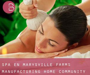 Spa en Marysville Farms Manufacturing Home Community