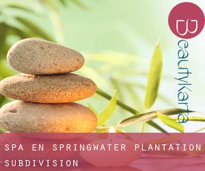 Spa en Springwater Plantation Subdivision