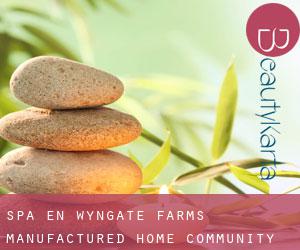 Spa en Wyngate Farms Manufactured Home Community
