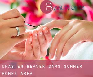 Uñas en Beaver Dams Summer Homes Area