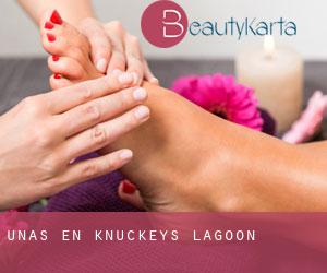 Uñas en Knuckeys Lagoon Uñas en Knuckeys Lagoon