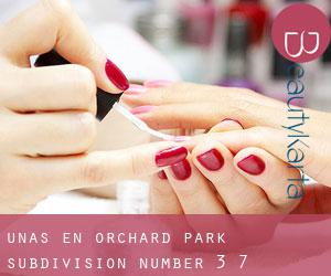 Uñas en Orchard Park Subdivision Number 3-7