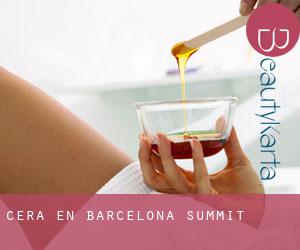 Cera en Barcelona Summit