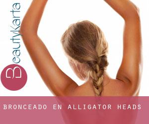 Bronceado en Alligator Heads