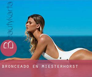 Bronceado en Miesterhorst