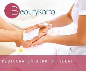 Pedicura en Aird of Sleat