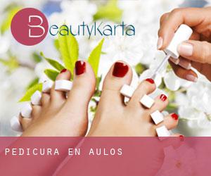 Pedicura en Aulos