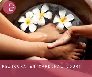 Pedicura en Cardinal Court