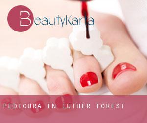 Pedicura en Luther Forest