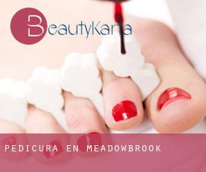 Pedicura en Meadowbrook