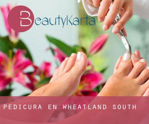 Pedicura en Wheatland South