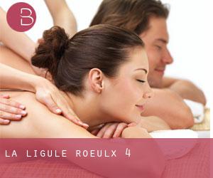 La Ligule (Roeulx) #4