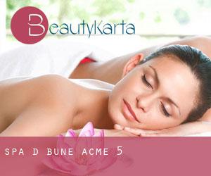 Spa D Bune (Acme) #5